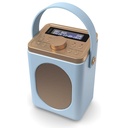 Majority Portable Bluetooth FM DAB Radio | Duck Egg Blue